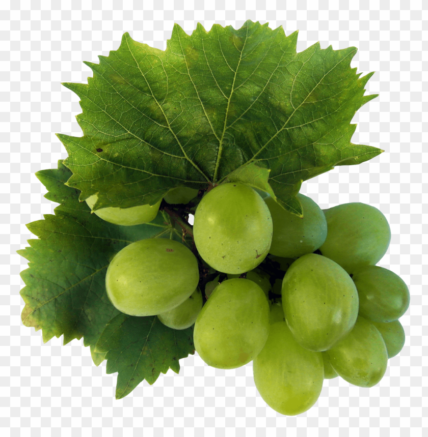 Grapes, Green Grapes, Red Grapes, Organic Grapes, Seedless Grapes