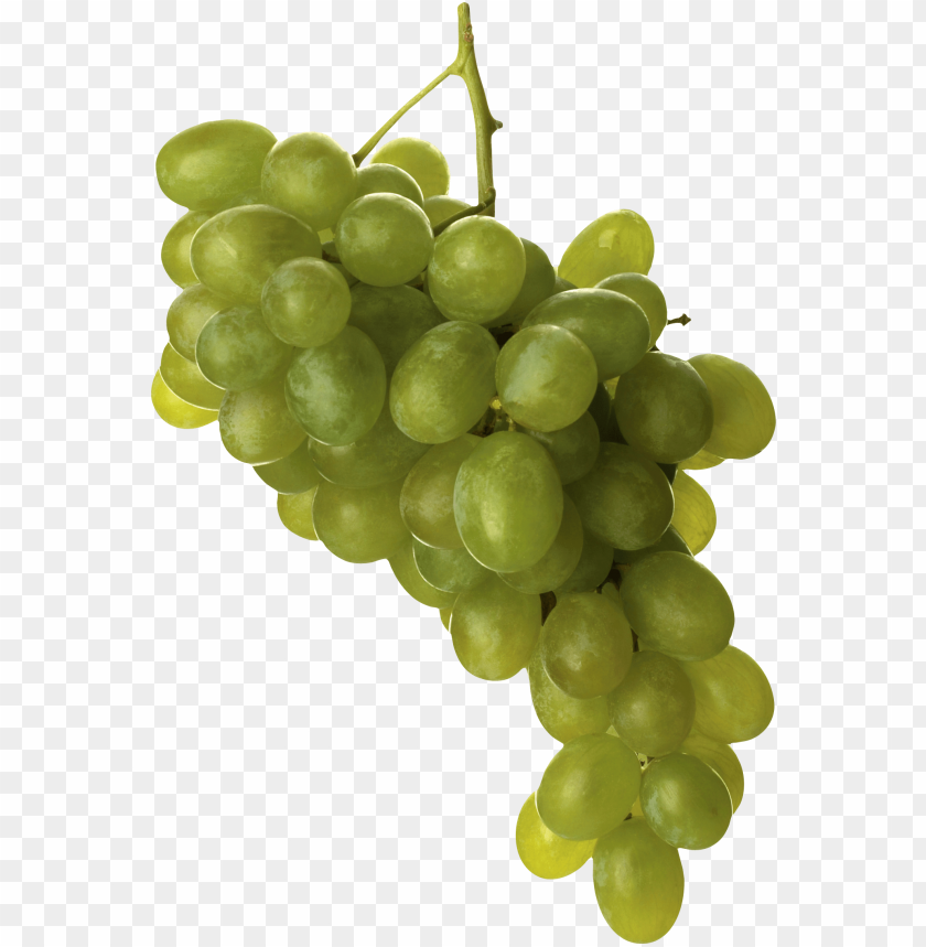 
grape
, 
berry
, 
grapes
, 
fruit
, 
green grapes
