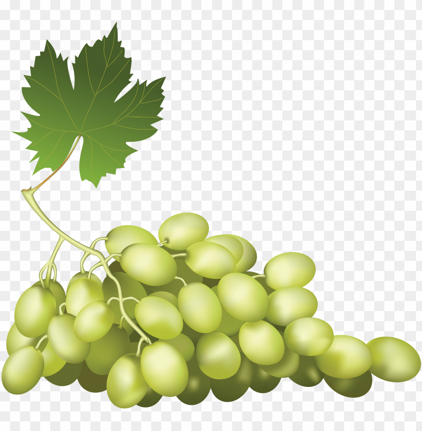 
grape
, 
berry
, 
grapes
, 
fruit
, 
green grapes
, 
food
