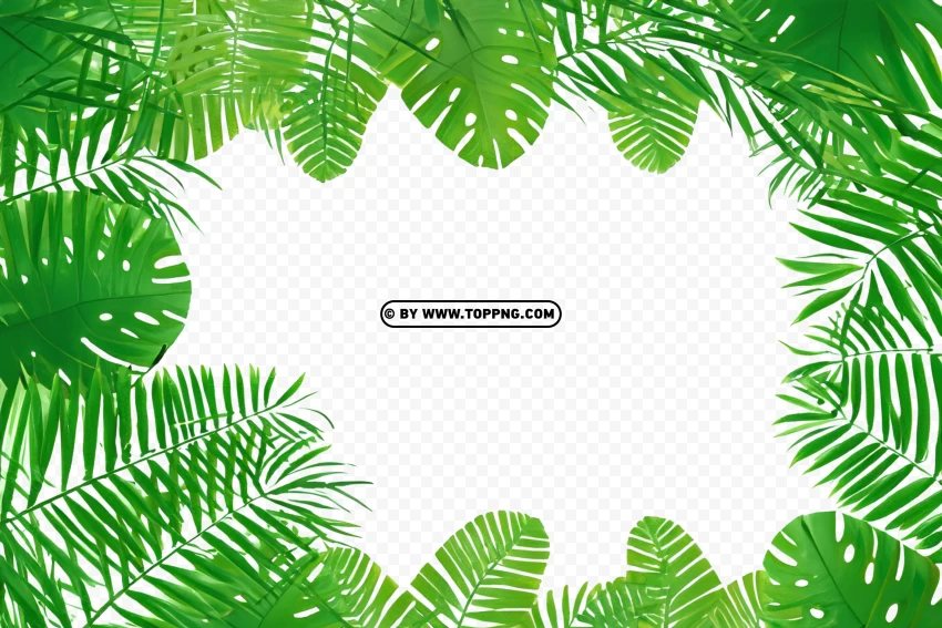 Leaves Frame, Leaves Frame Transparent PNG, Leaves Frame PNG, Nature Frame PNG, Nature Frame Transparent PNG, Nature Frame, Forest Frame PNG