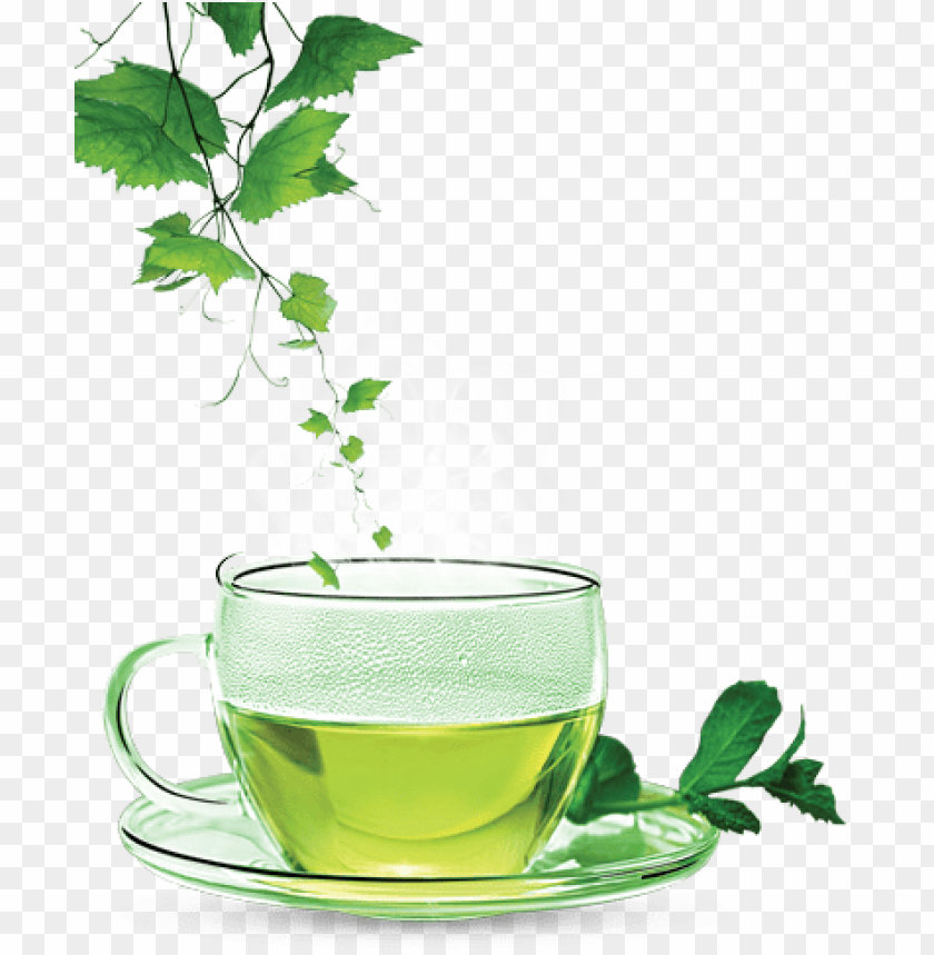 Tea, Green Tea, Herbal Tea, Healthy Beverages, Wellness