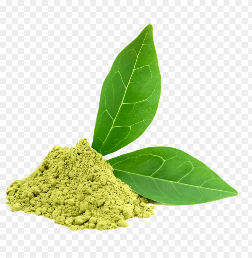 Kratom, green vein, red vein, white vein, kratom powder