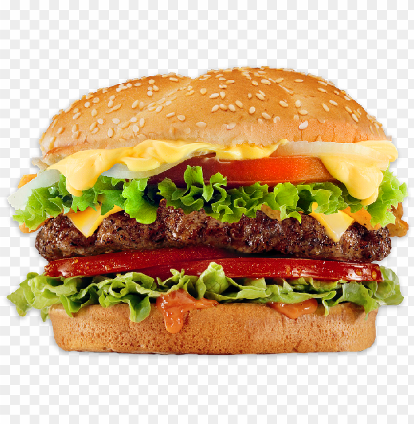 burger,sesame bun,vegetables,lettuce,tomato,cheese,condiments