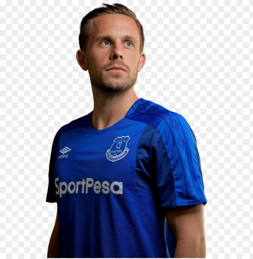 gylfi sigurdsson, everton ,england ,fifa ,football ,sport