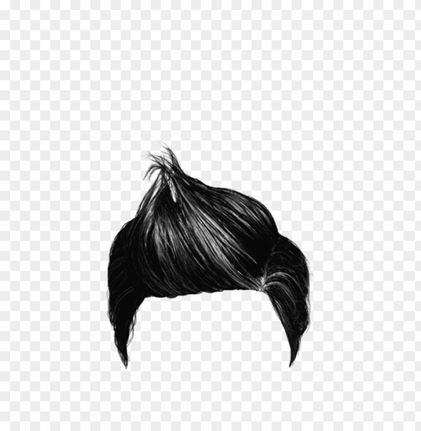 hairstyle png, png