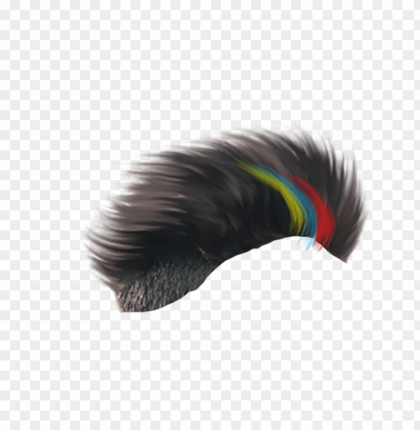 hairstyle png, png