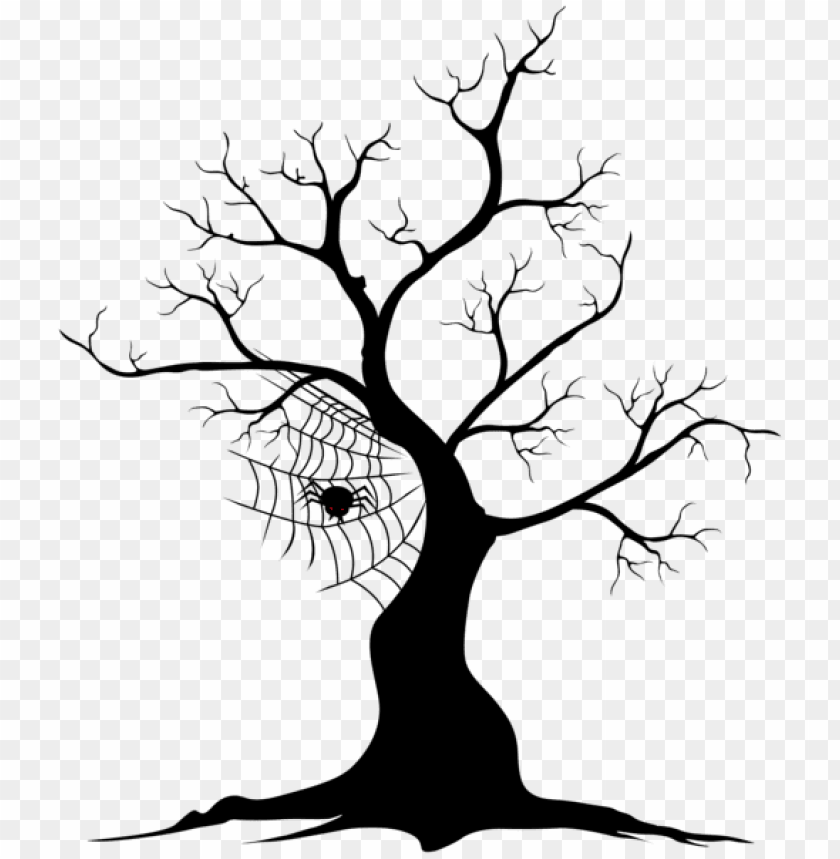 tree, spider, web, branches, nature, silhouette, black and white