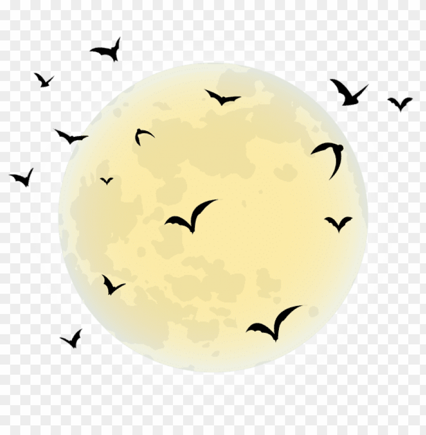 moon, night sky, birds, silhouettes, nature, serene atmosphere, wildlife