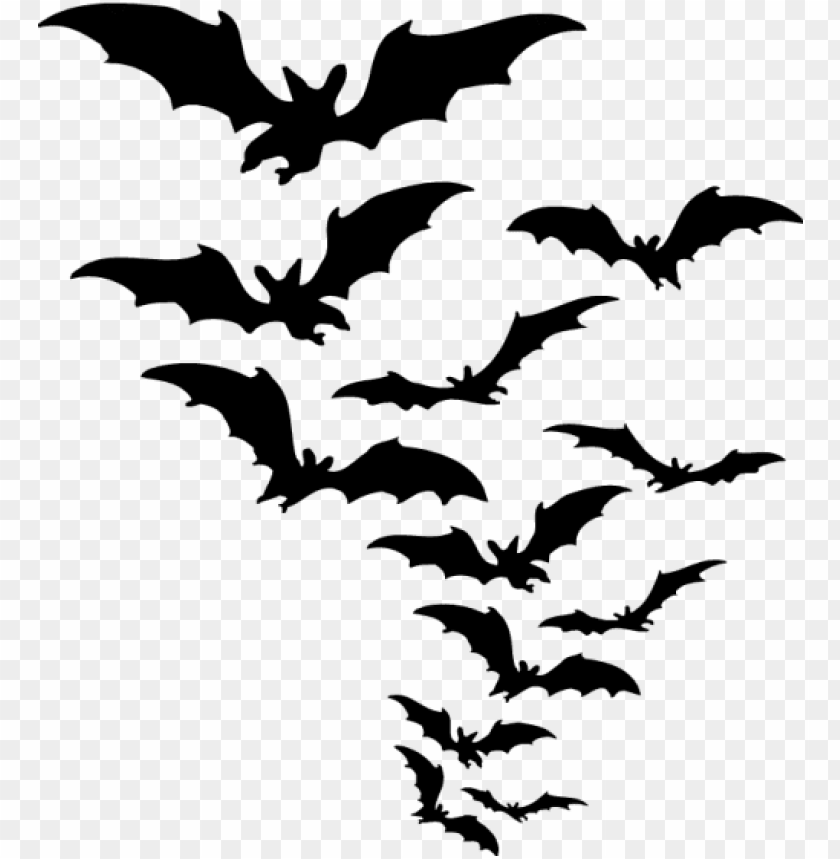 bats, wildlife, nocturnal animals, flying creatures, nature, dark animals, ecosystems