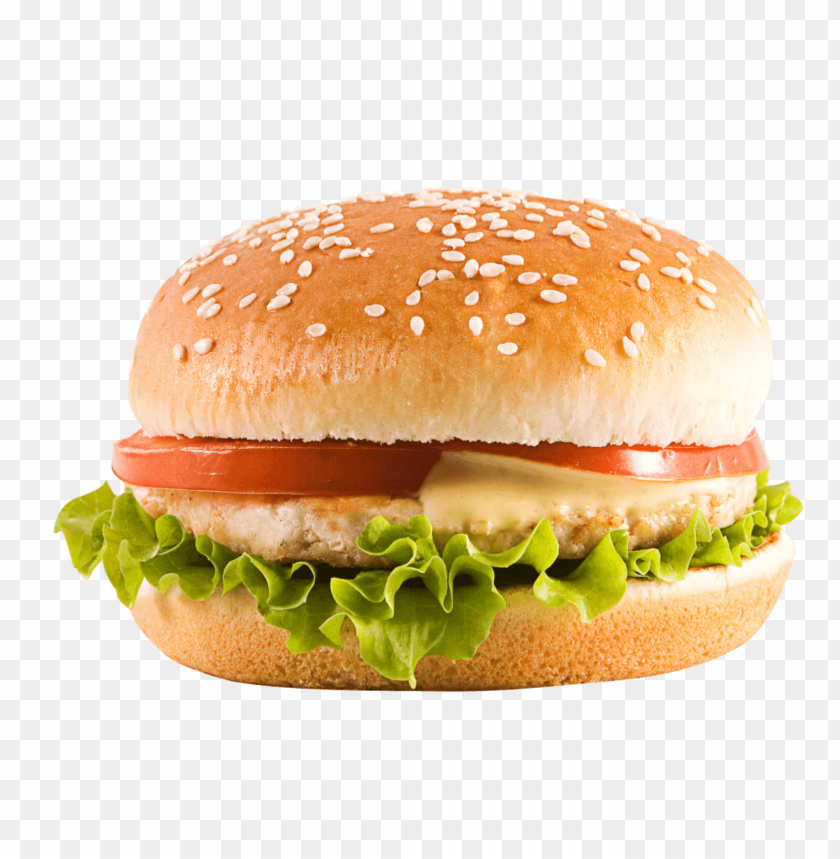 burger, food, tasty, bread, eat, delicious, hamburger