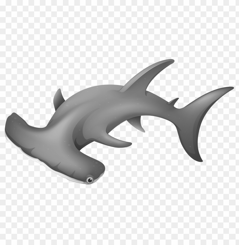 hammerheadshark