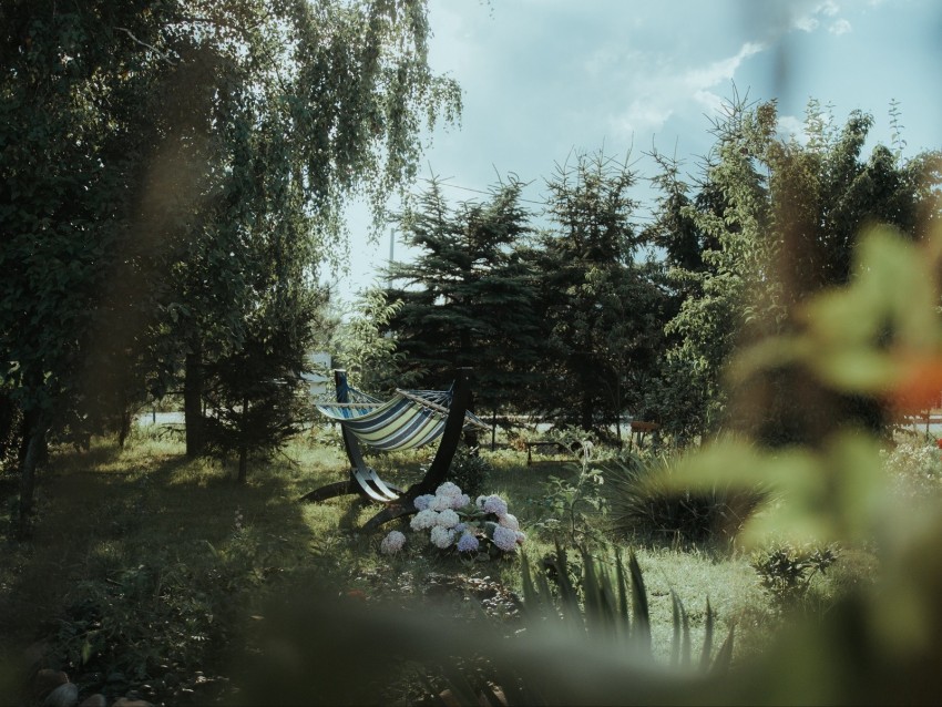 Hammock Grass Vegetation Nature Background