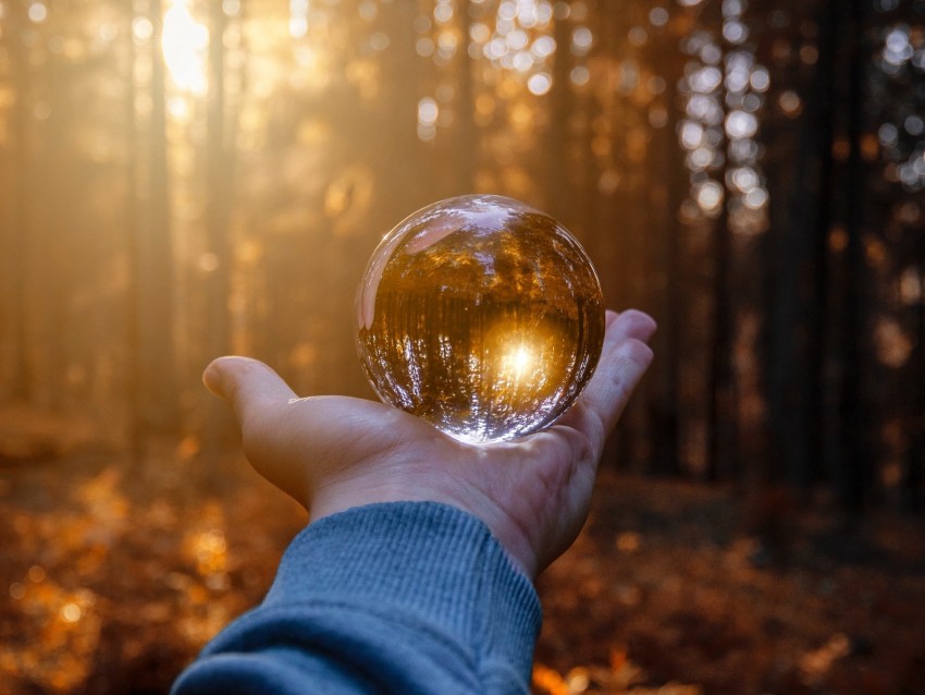 Hand Ball Glass Reflection Autumn Background