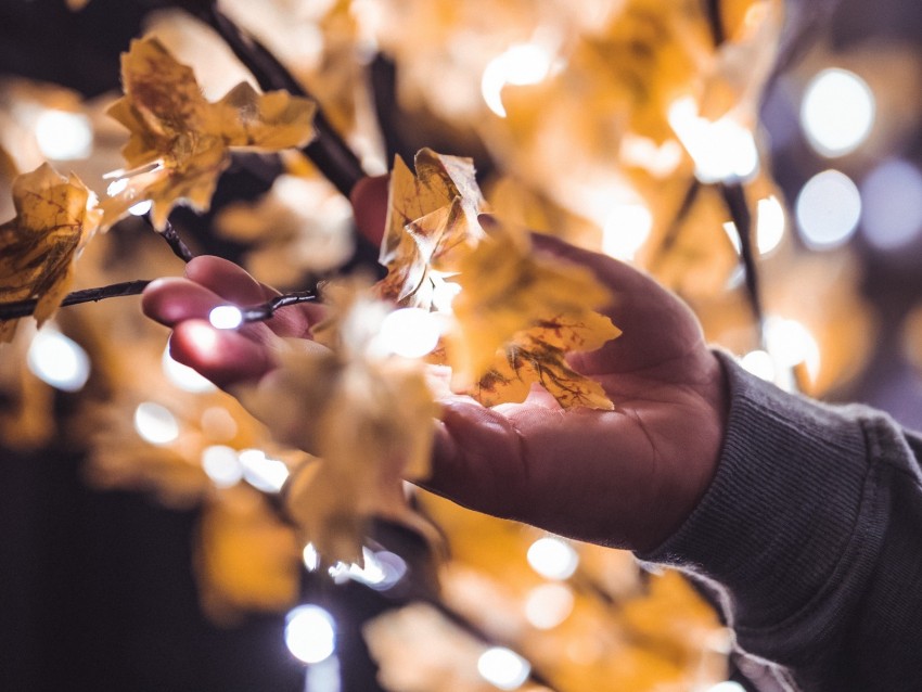 hand, branches, garland, leaves, glare, blur