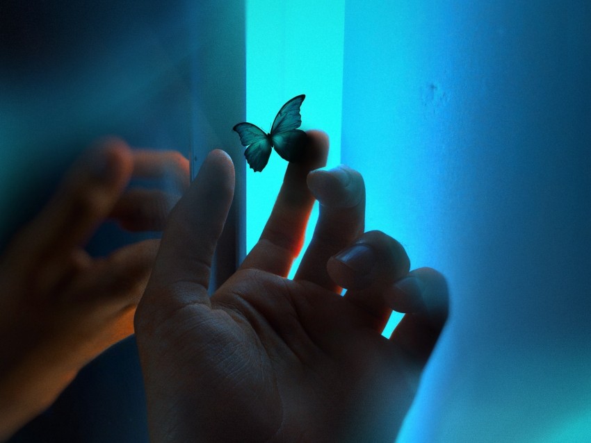 hand, butterfly, neon, fingers, glow, blue