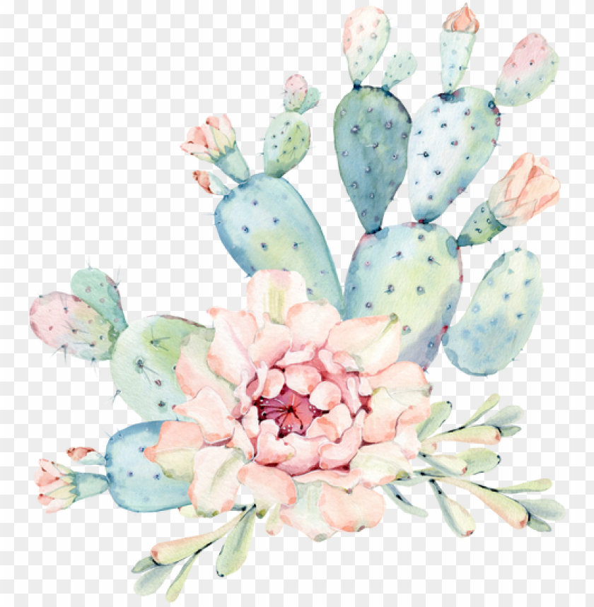 hands, computer, circle, mouse, cacti, technology, decorative