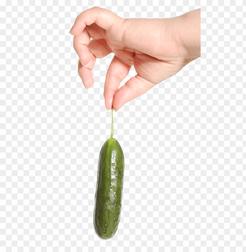 fruits, cucumber, hand