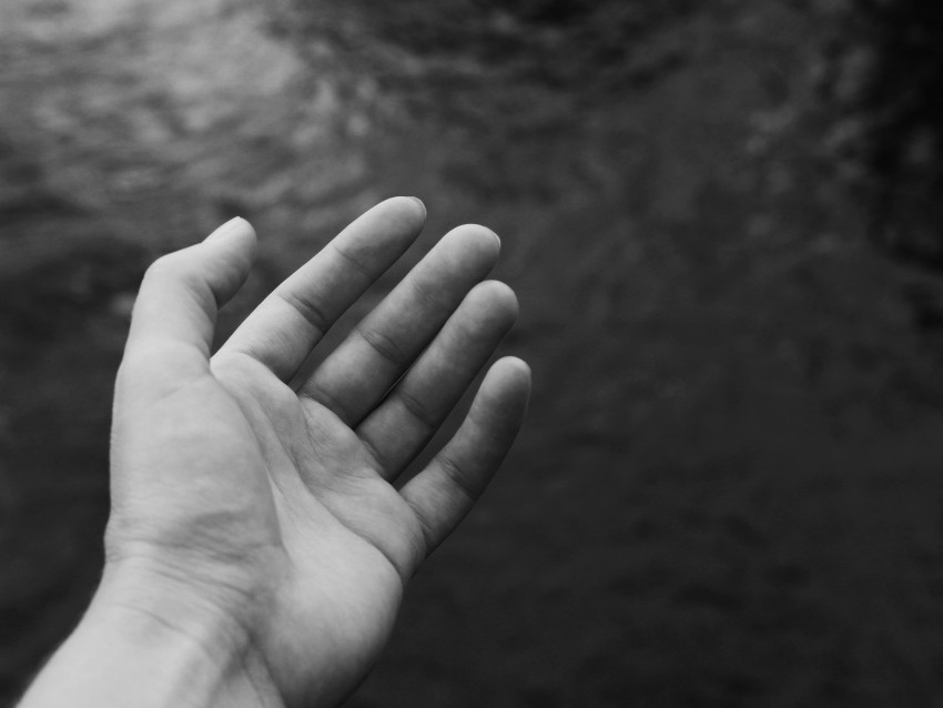 hand, palm, bw, fingers