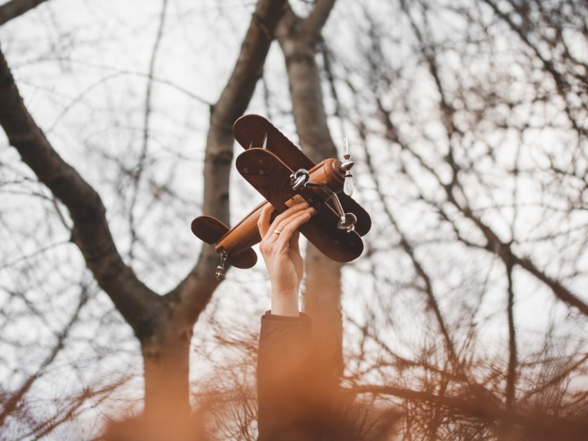 hand, plane, toy, trees, branches