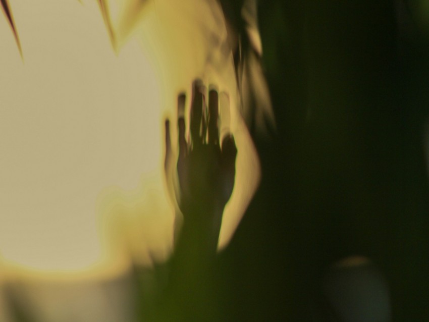 hand, shadow, wall, palm