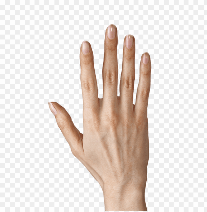 hand ,hands,side, part, aspect, hand, portion