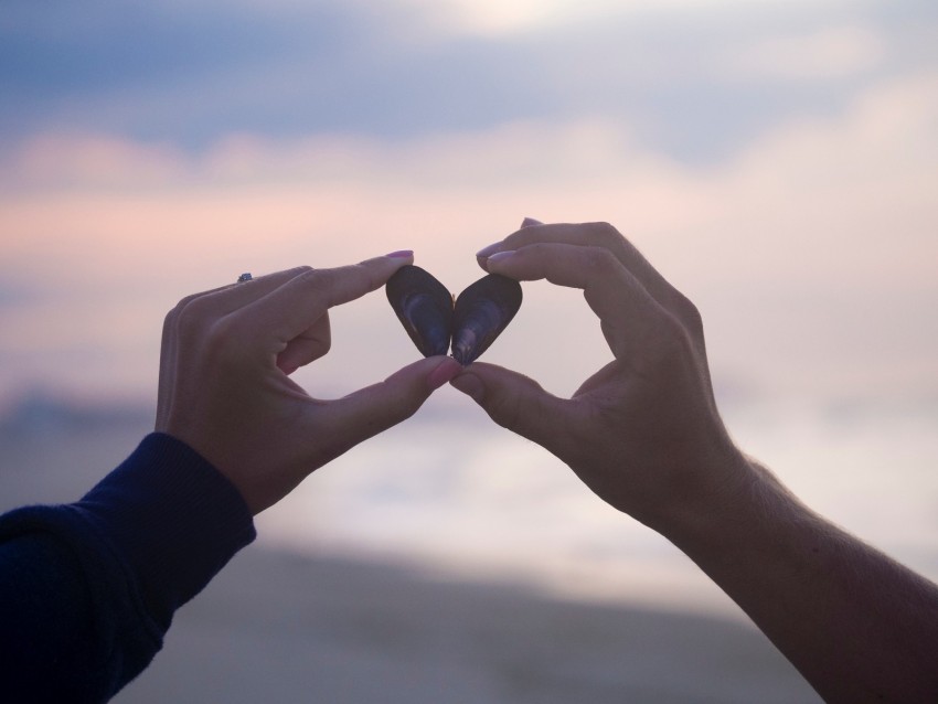 hands, heart, shell, details