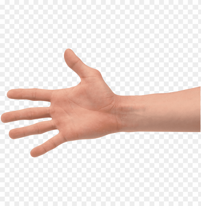 hands png, hand,hands,png