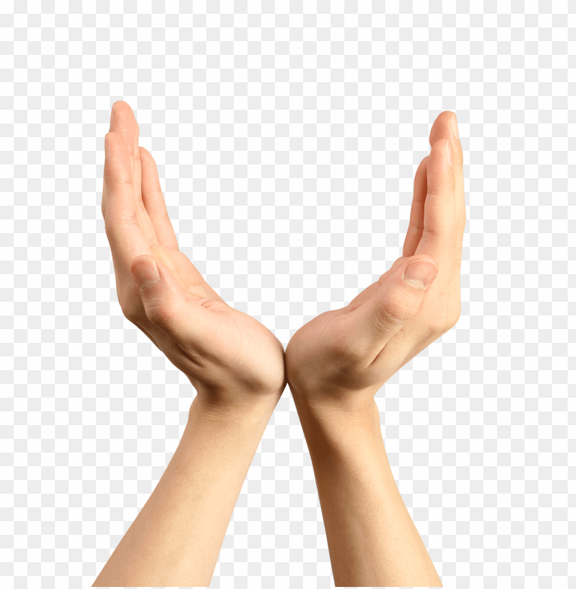 hands png, hand,hands,png