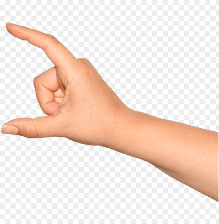 hands png, hand,hands,png