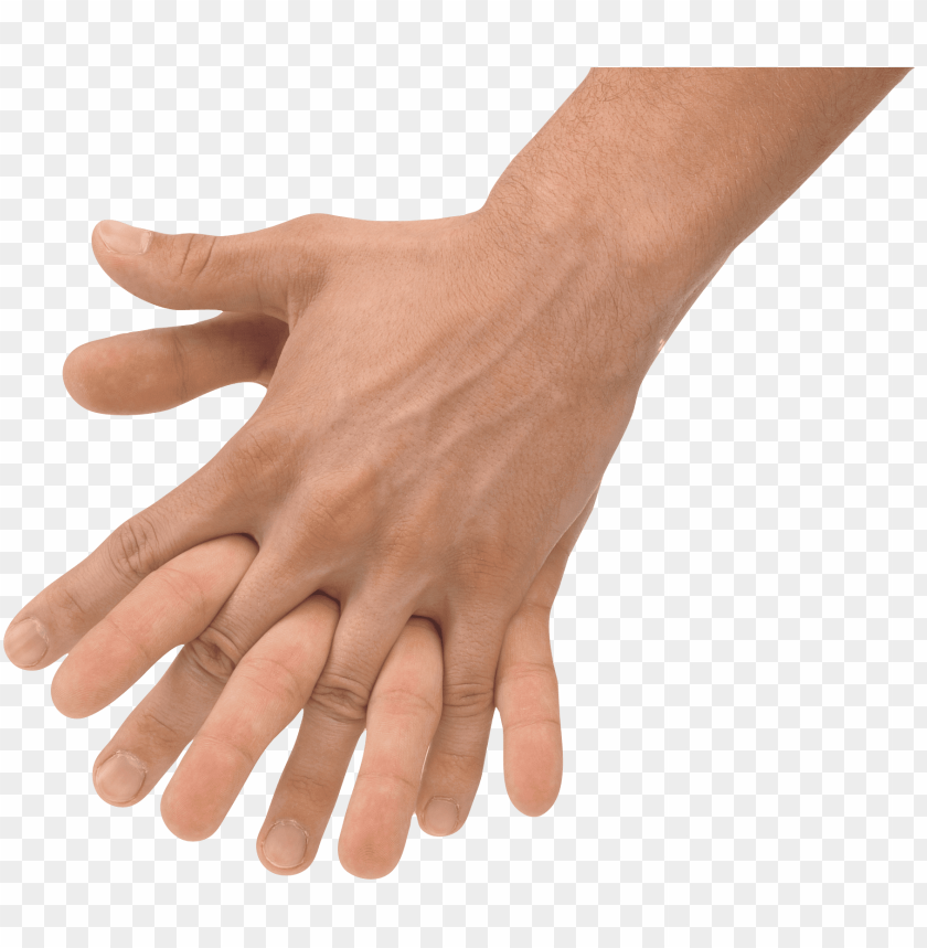 hands png, hand,hands,png