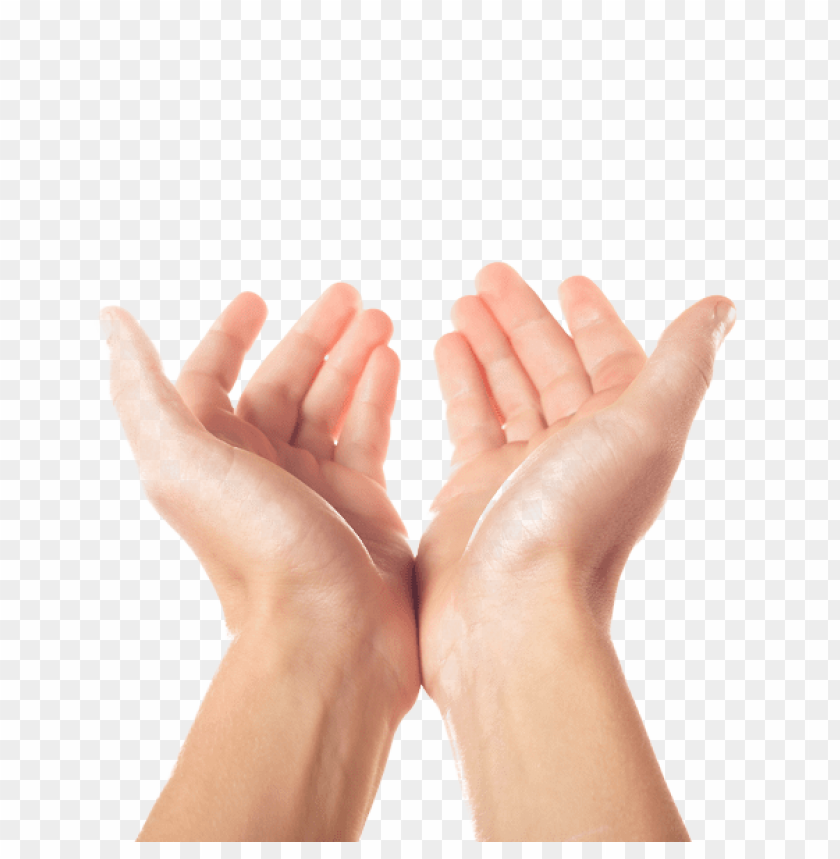 hands png, hand,hands,png