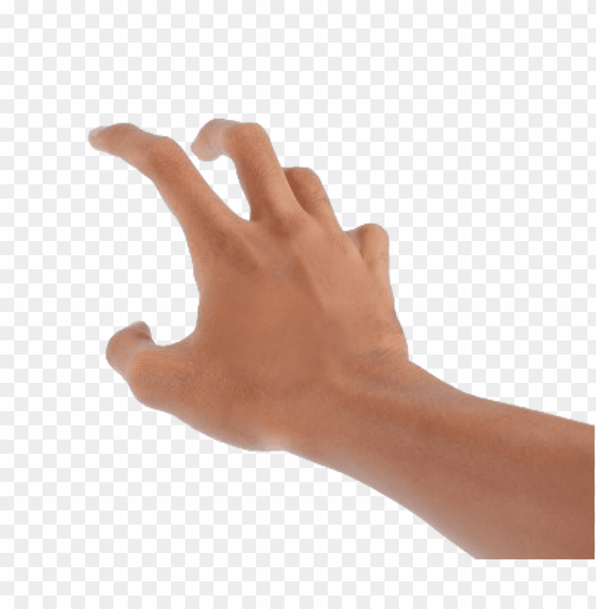 hands png, hand,hands,png