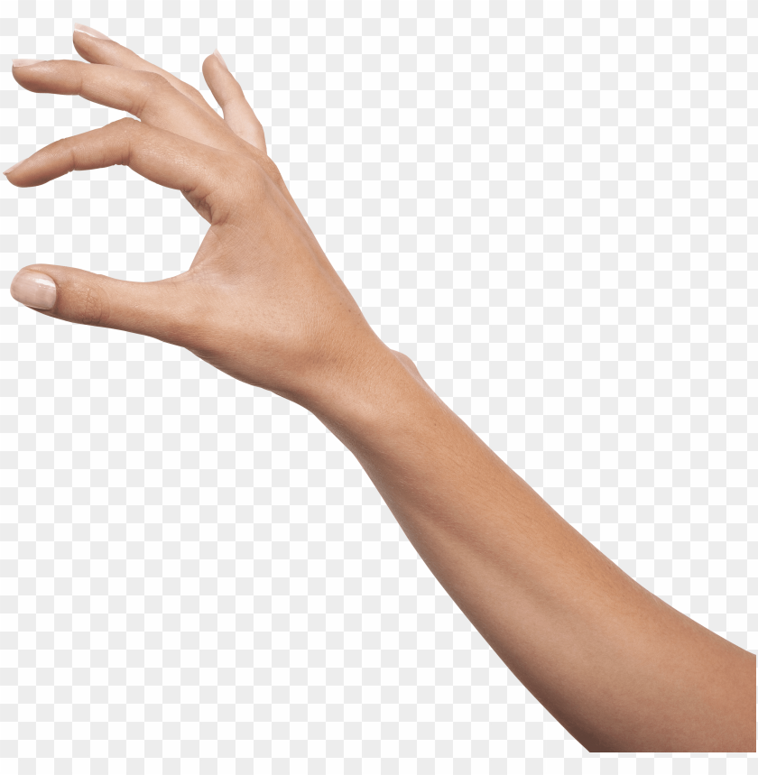 hands png, hand,hands,png