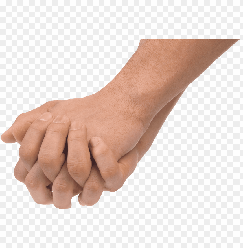 hands png, hand,hands,png