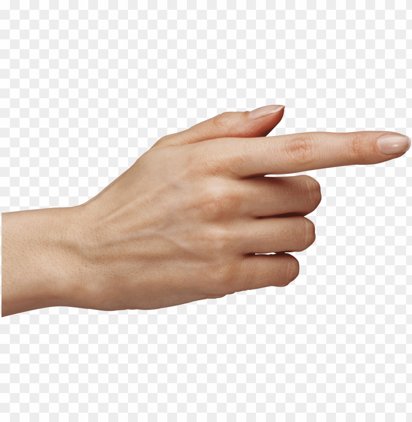 hands png, hand,hands,png