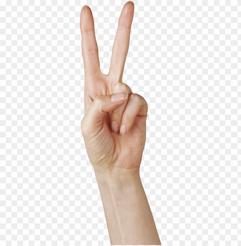 hands png, hand,hands,png