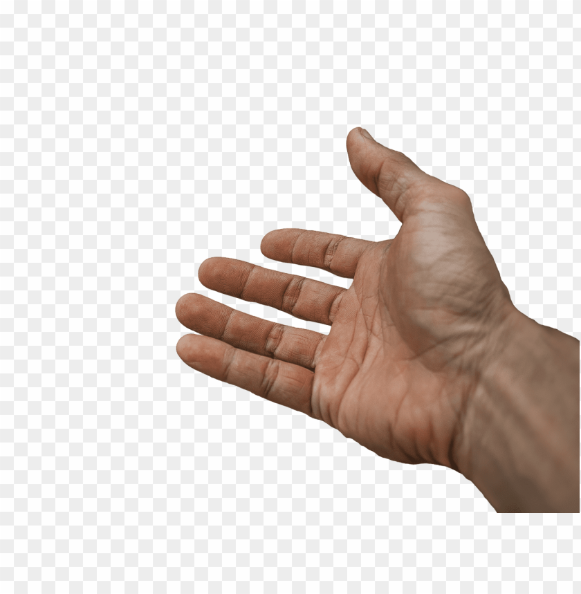 hands png, hand,hands,png