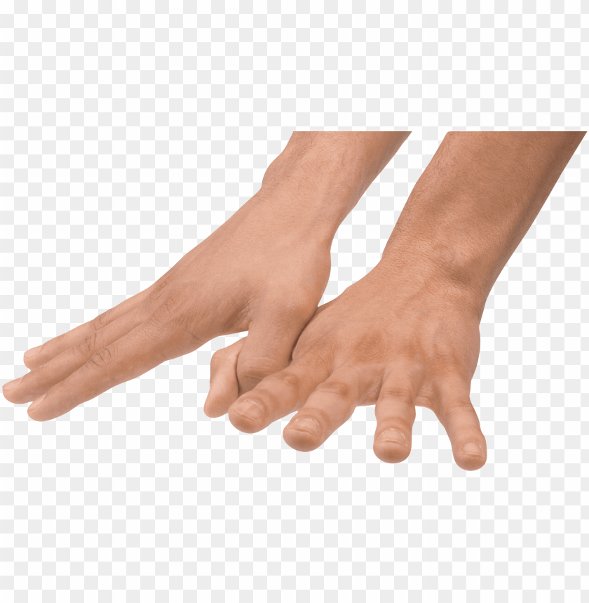 hands png, hand,hands,png