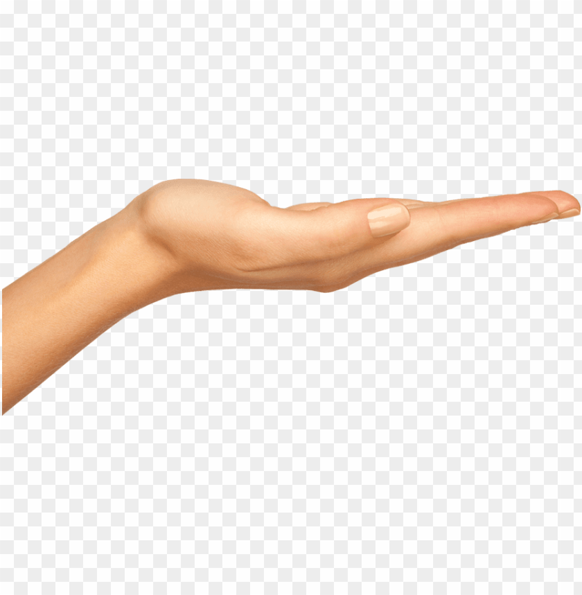 hands png, hand,hands,png