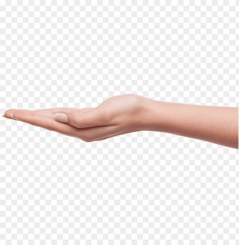 hands png, hand,hands,png