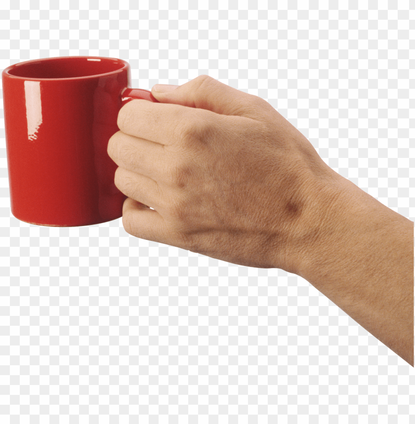 hands png, hand,hands,png