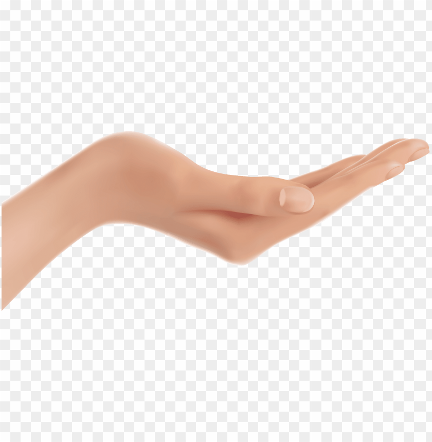 hands png, hand,hands,png