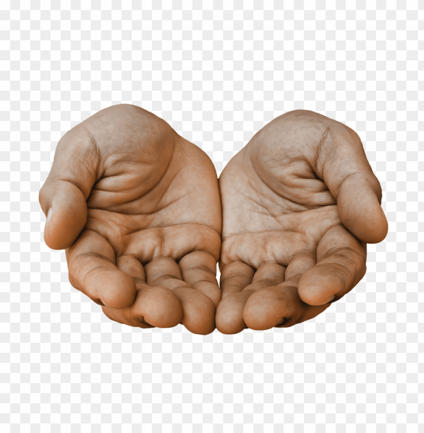 hands png, hand,hands,png