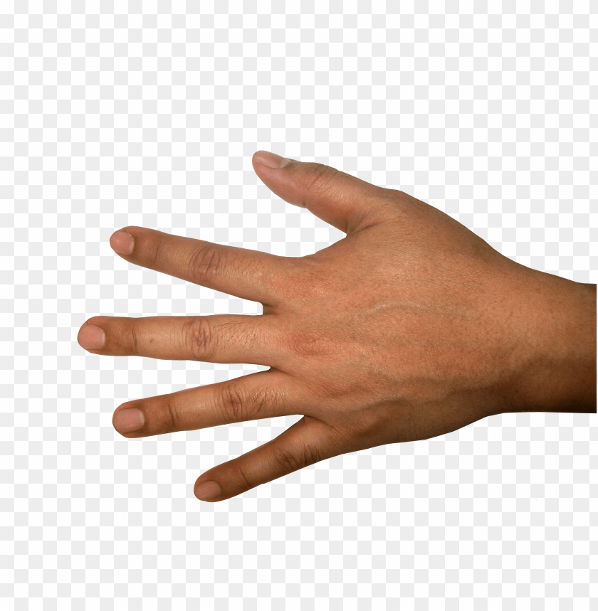 hands png, hand,hands,png