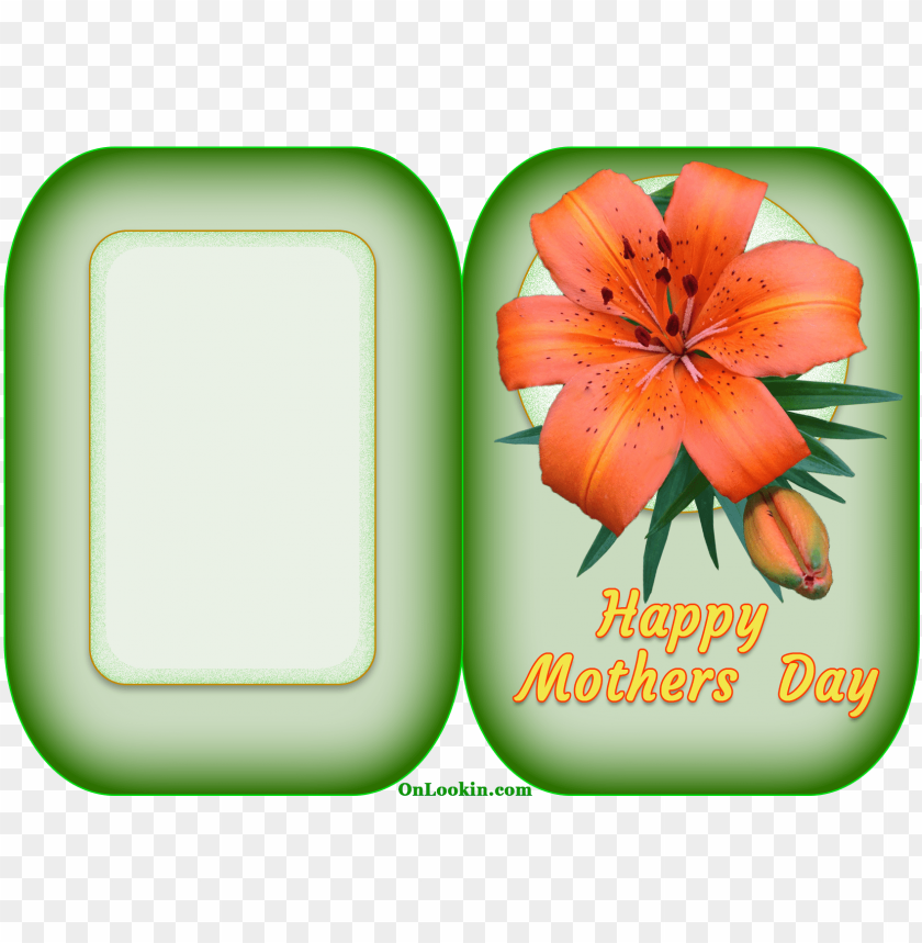 happy mothers day tiger lily flower - happy mothers flower cards, mother day