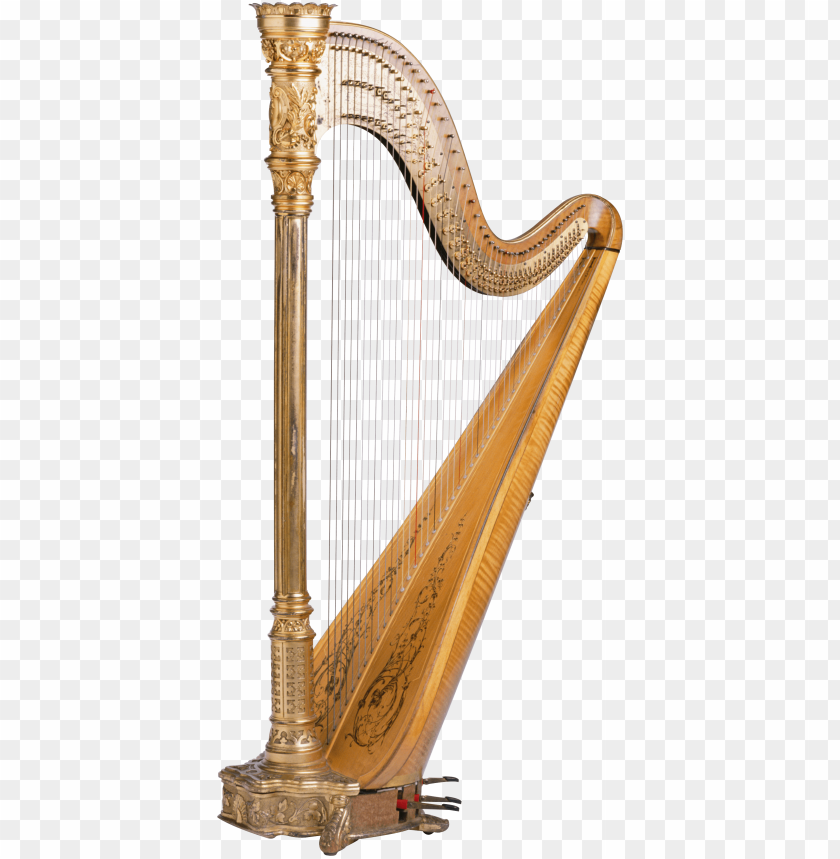 
harp
, 
stringed
, 
soundboard
, 
fingers
, 
modern
