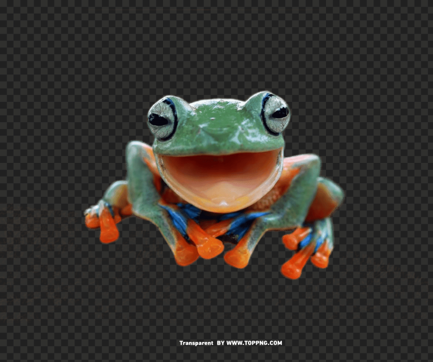 pepe the frog face png,pepe the frog face,pepe the frog face transparent png,pepe the frog happy,pepe the frog happy transparent png,pepe the frog happy png,pepe the frog transparent png