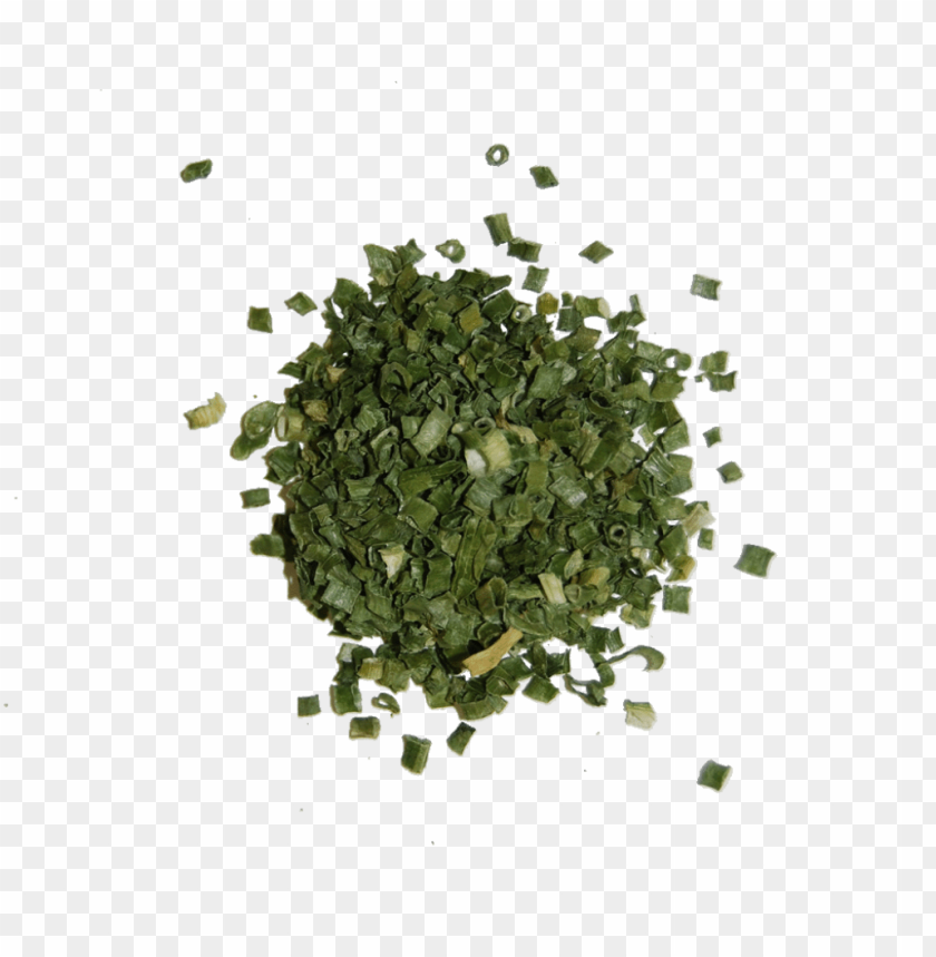 herb, grass, weed, pasture,medicinal plant, quassia, herb