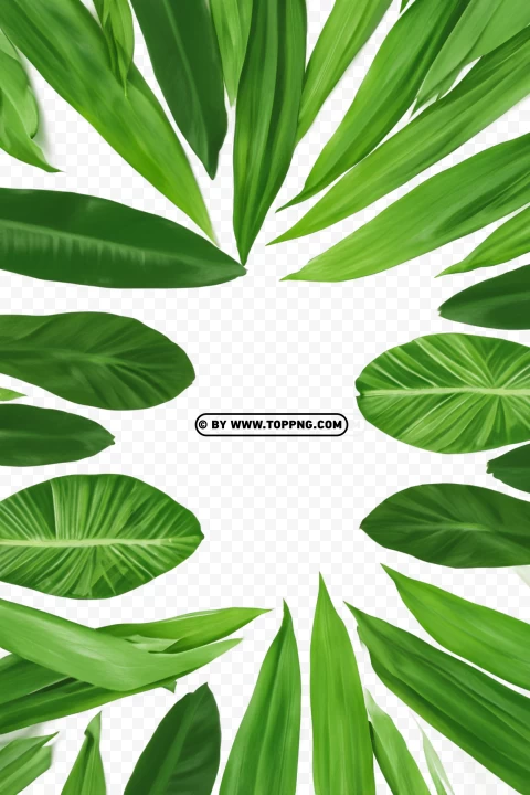 Leaves Frame, Leaves Frame Transparent PNG, Leaves Frame PNG, Nature Frame PNG, Nature Frame Transparent PNG, Nature Frame, Forest Frame PNG