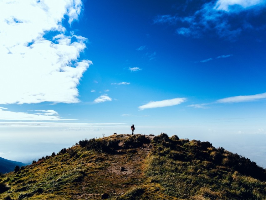 hill, mountain, silhouette, loneliness, landscape